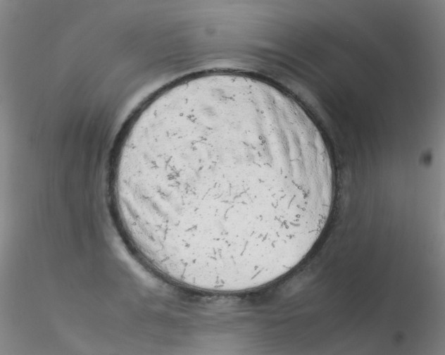 X0000115210991200911251503