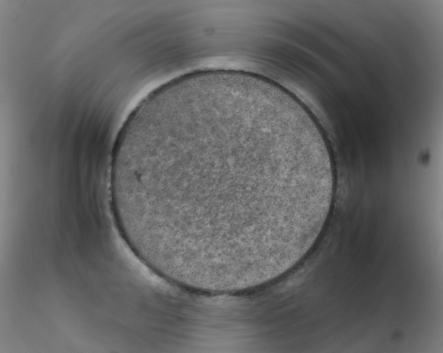 X0000115210992200911251503