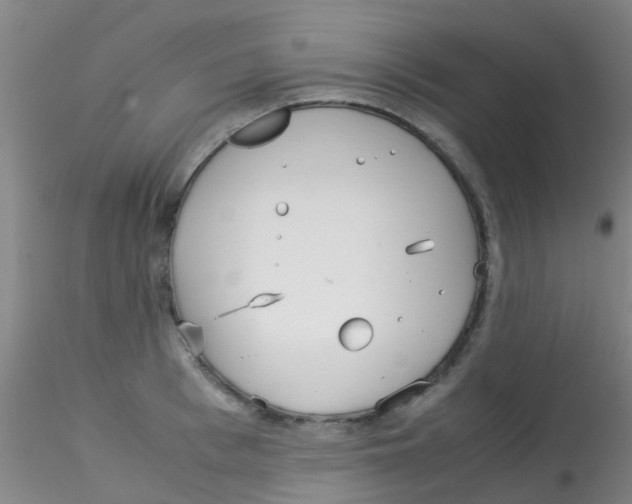 X0000115210993200911251503