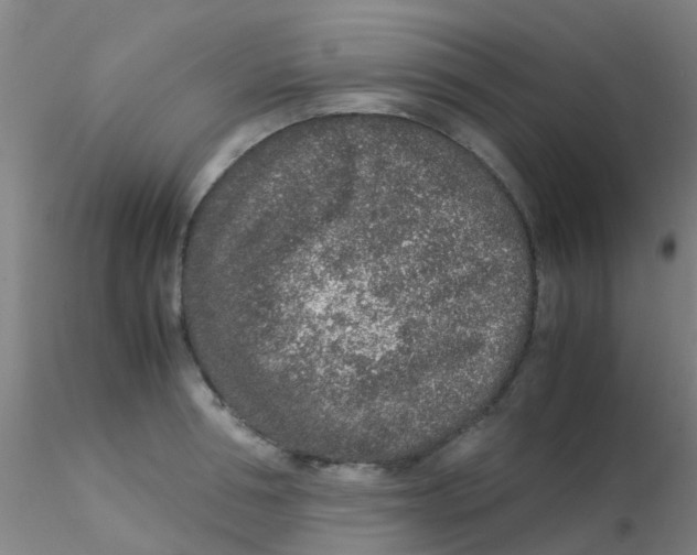 X0000115210994200911251503