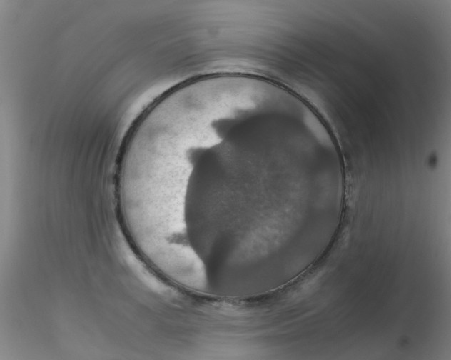 X0000115210995200911251503