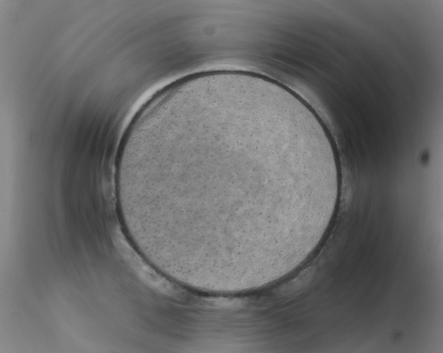 X0000115210996200911251503