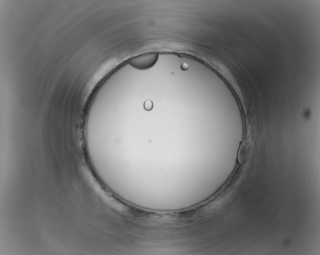 X0000115210997200911251503