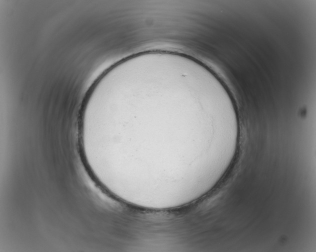 X0000115210999200911251503