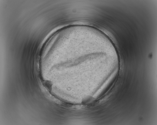 X0000115211000200911251503