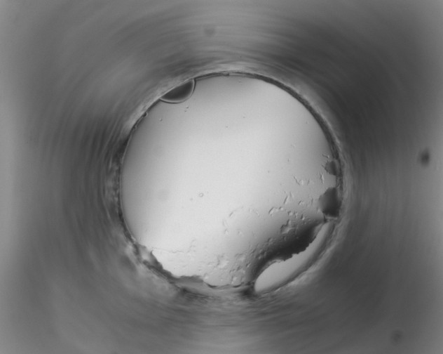 X0000115211001200911251503