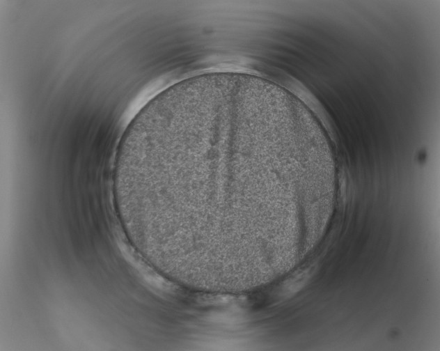 X0000115211002200911251503