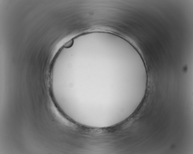 X0000115211003200911251503