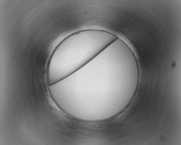 X0000115211004200911251503