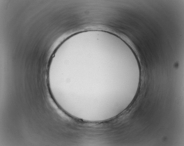 X0000115211005200911251503