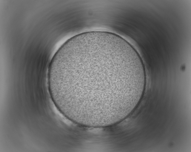 X0000115211006200911251503