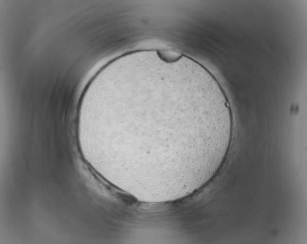 X0000115211008200911251503