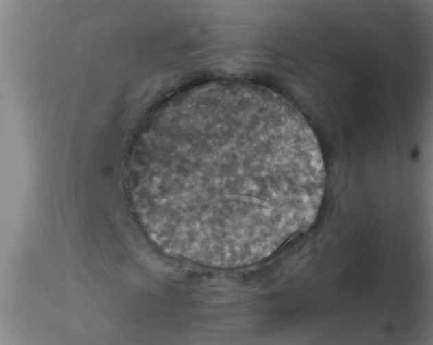 X0000115211009200911251502