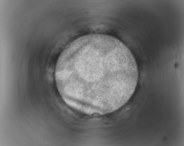 X0000115211010200911251502