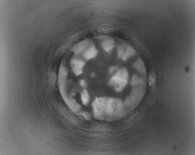 X0000115211011200911251502