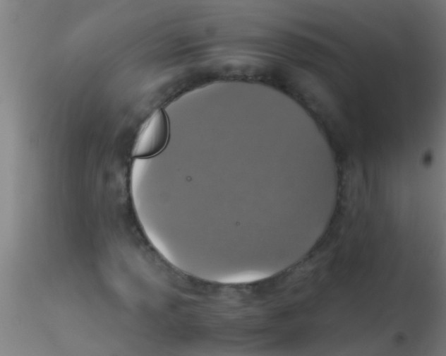 X0000115211013200911251502