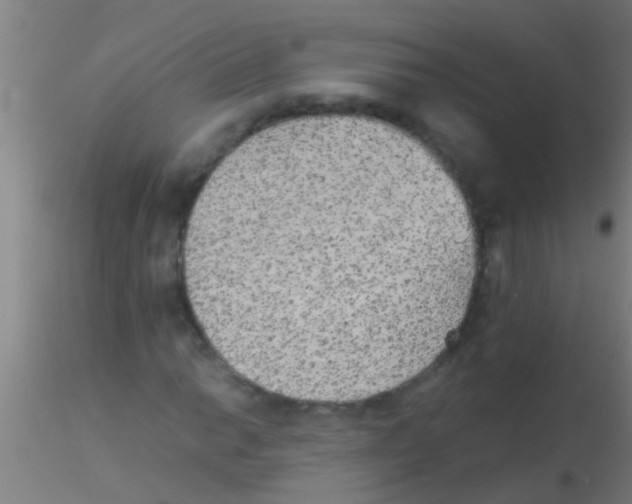 X0000115211014200911251502