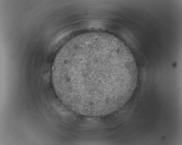 X0000115211015200911251502