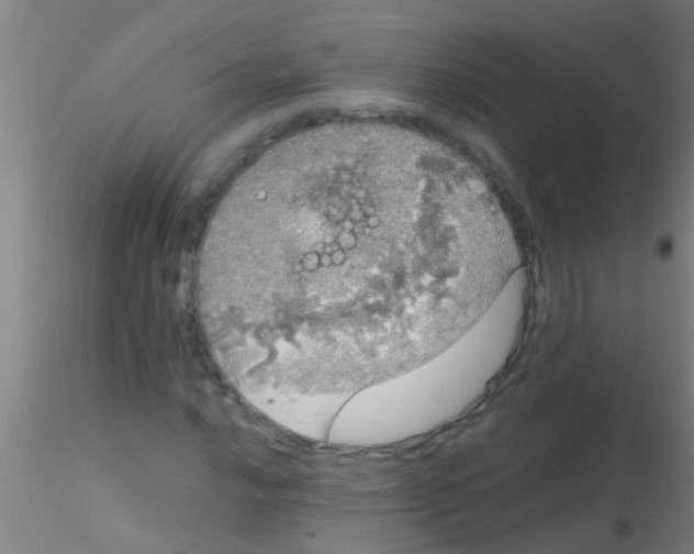 X0000115211016200911251502