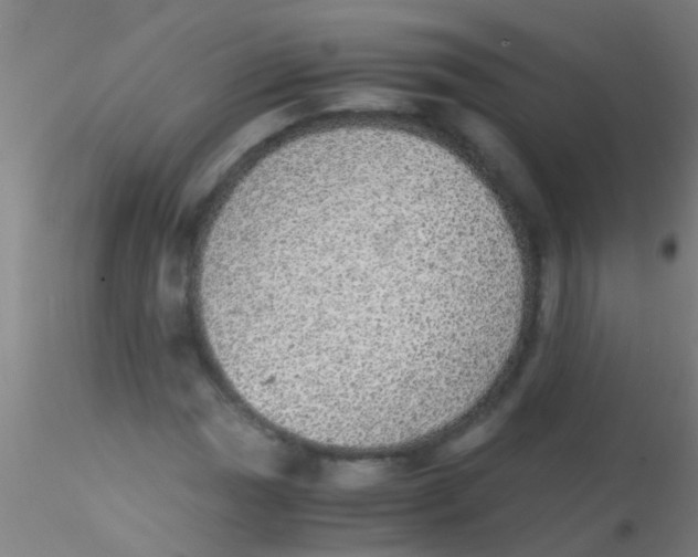 X0000115211017200911251502