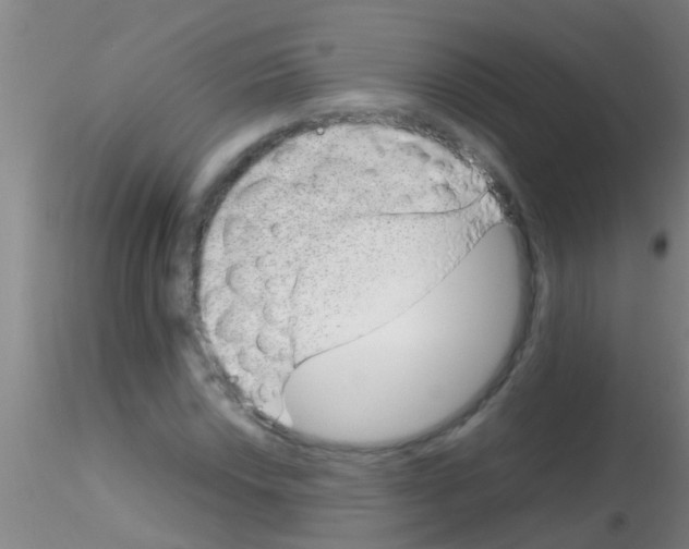 X0000115211018200911251502