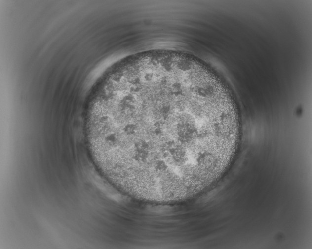 X0000115211019200911251502