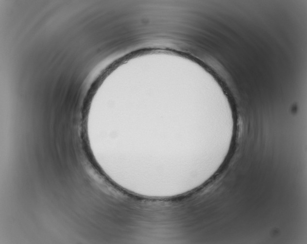 X0000115211020200911251502