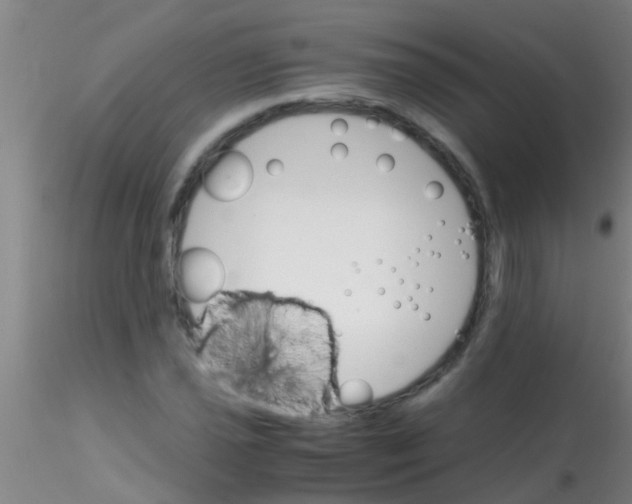 X0000115211021200911251502