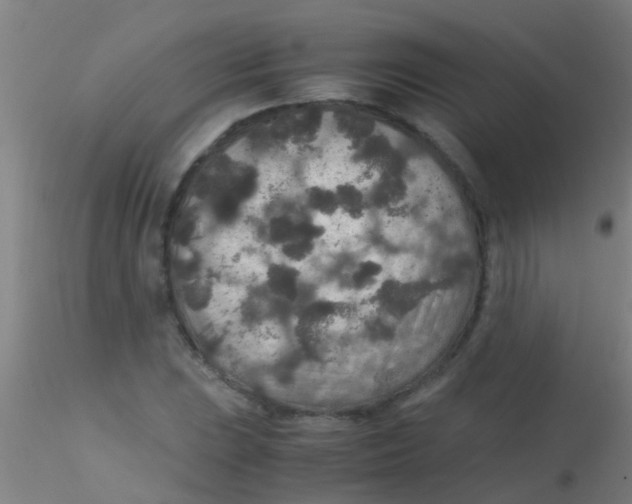 X0000115211023200911251502