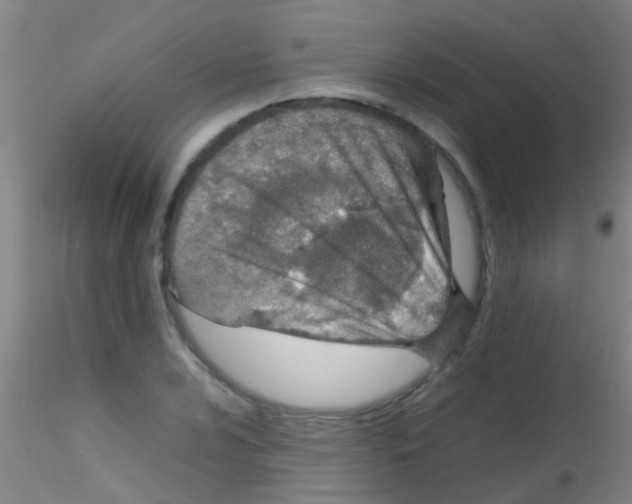 X0000115211024200911251502