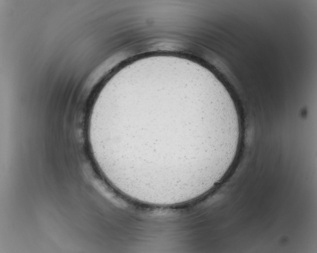 X0000115211026200911251502