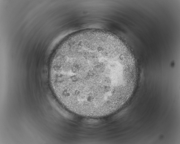 X0000115211027200911251502