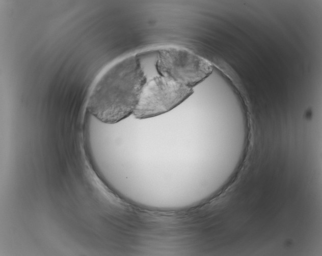 X0000115211028200911251502