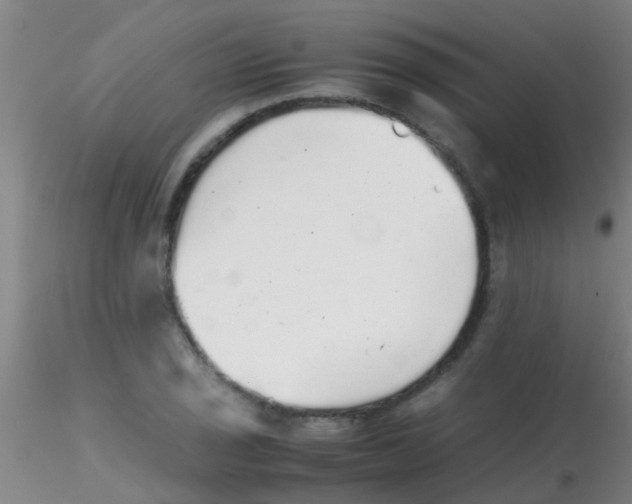 X0000115211029200911251502