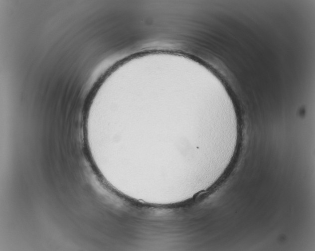 X0000115211030200911251502