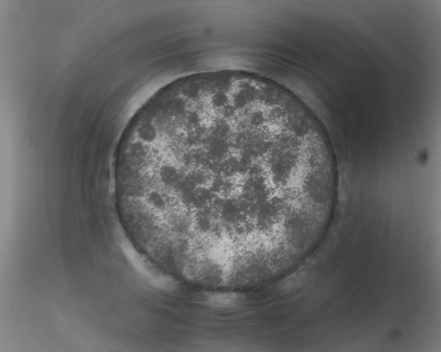 X0000115211031200911251502