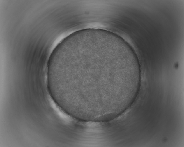 X0000115211032200911251502