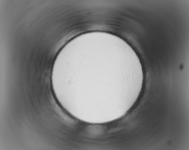 X0000115211033200911251502