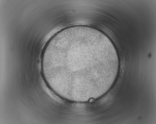 X0000115211034200911251502