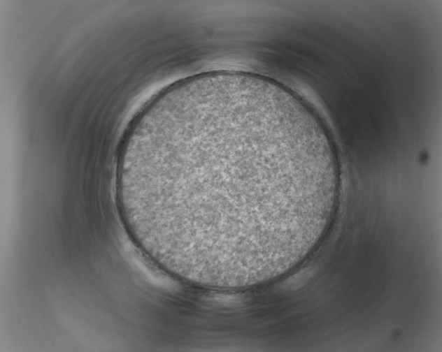 X0000115211035200911251502