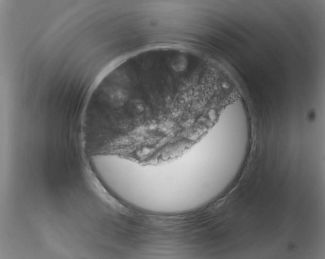 X0000115211036200911251502