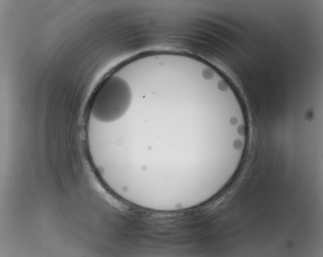 X0000115211037200911251502