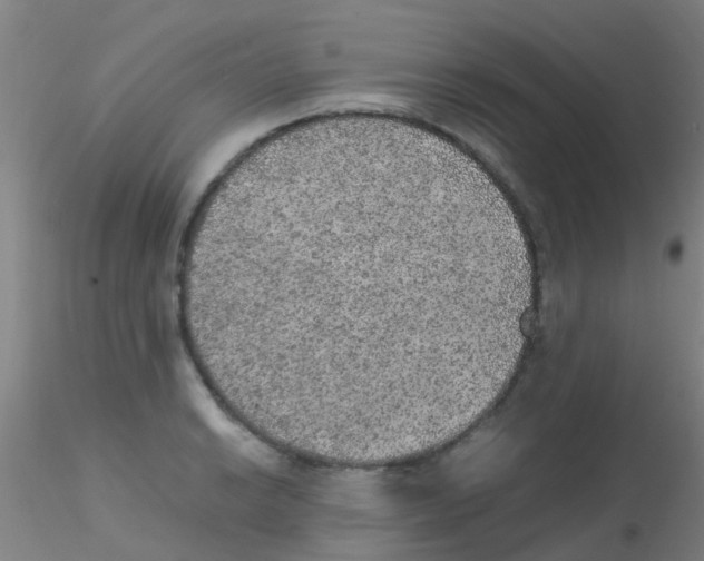 X0000115211038200911251502