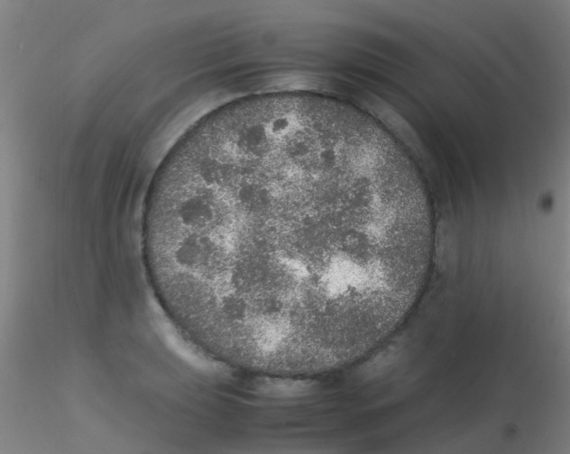 X0000115211039200911251502