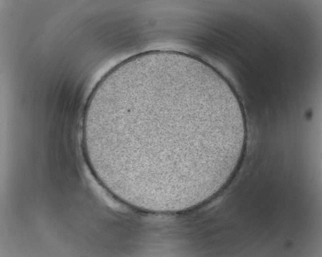 X0000115211040200911251503