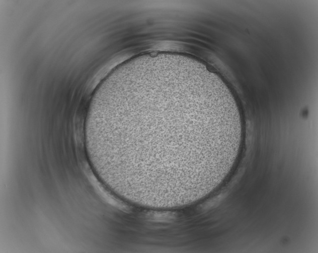 X0000115211041200911251503