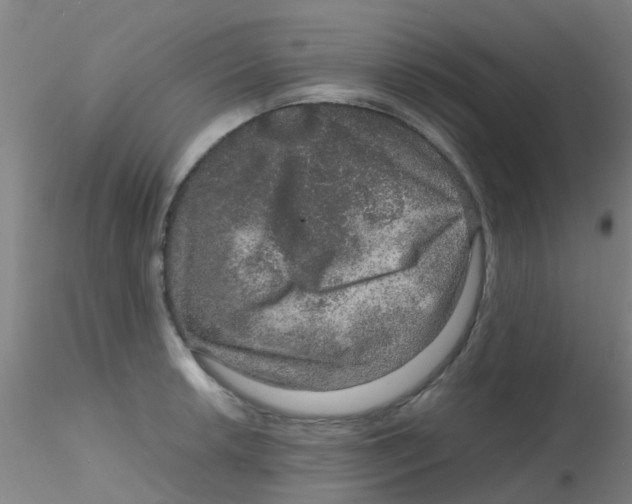 X0000115211042200911251503