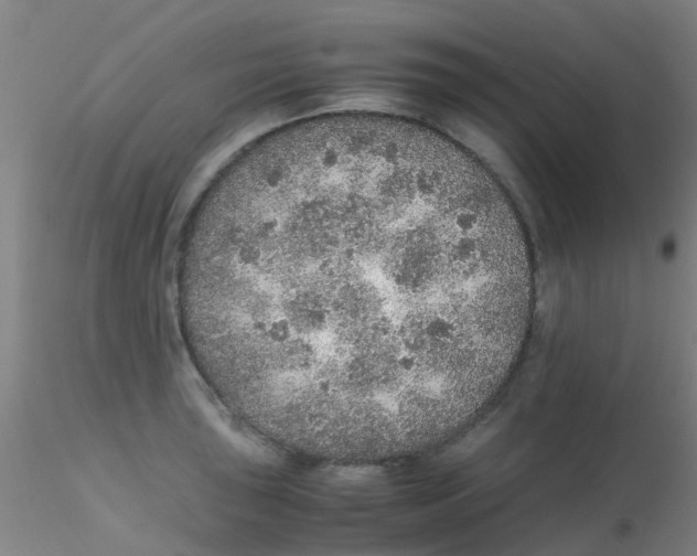 X0000115211043200911251503