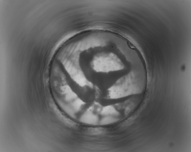 X0000115211045200911251503