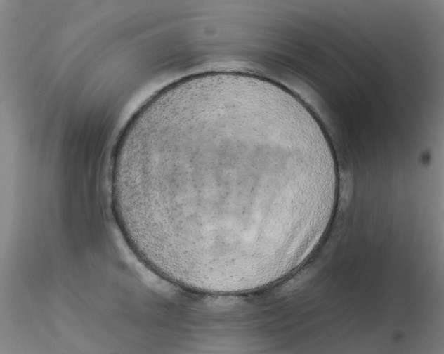 X0000115211046200911251503